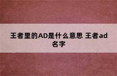 王者里的AD是什么意思 王者ad名字